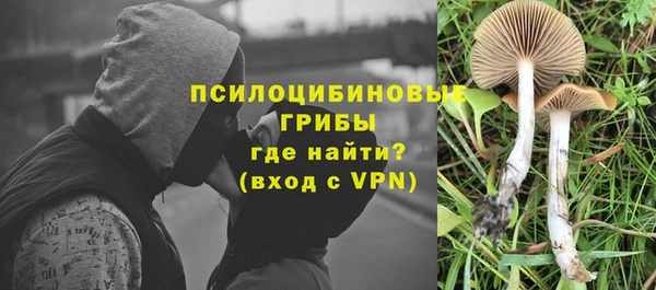 ALPHA PVP Алзамай