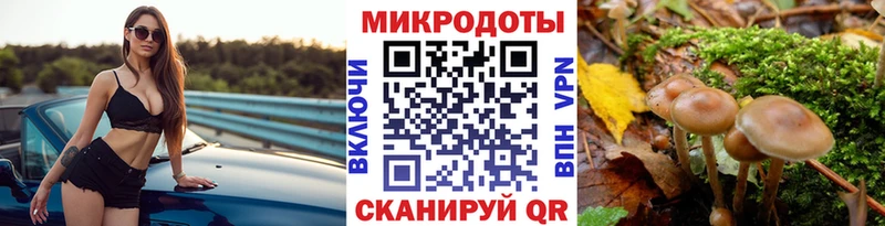 OMG ONION  Электрогорск  Галлюциногенные грибы мухоморы 
